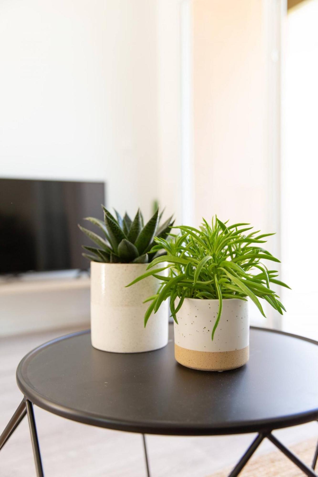 Appartement Des Verdiers 앙데르노스레방 외부 사진